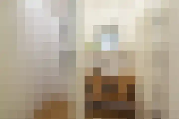 Linnaeusstraat 38 Utrecht thumbnail 28