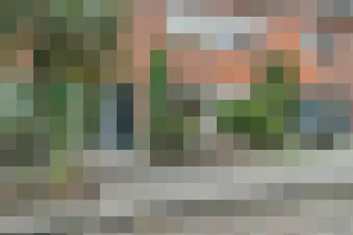Linnaeusstraat 38 Utrecht thumbnail 34
