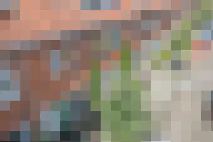 Linnaeusstraat 38 Utrecht thumbnail 36