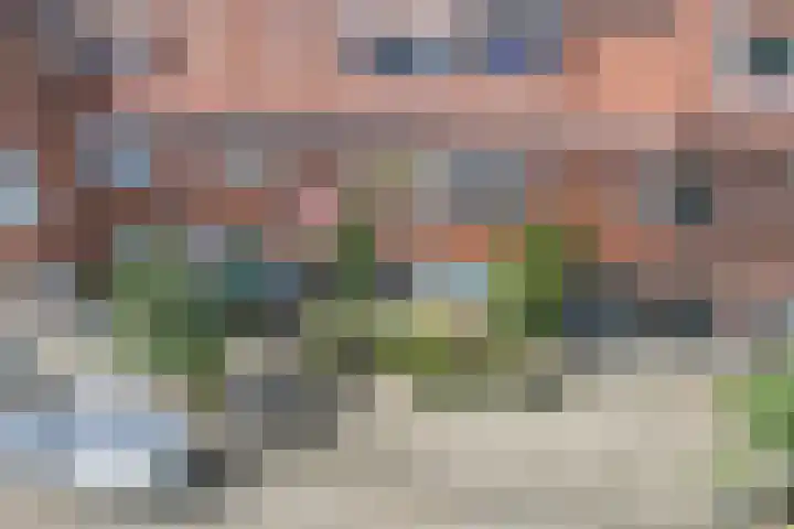 Linnaeusstraat 38 Utrecht thumbnail 37