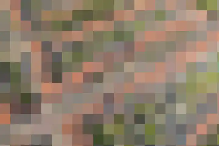 Linnaeusstraat 38 Utrecht thumbnail 42