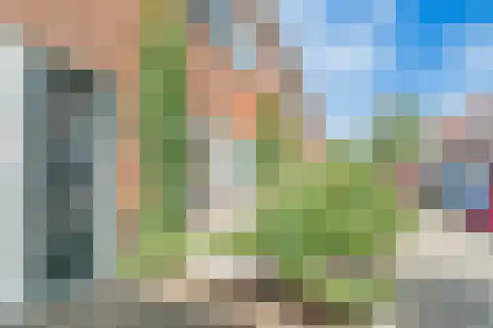 Linnaeusstraat 38 Utrecht thumbnail 5