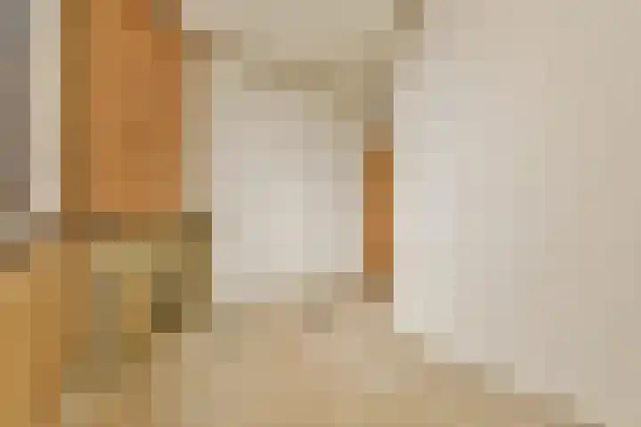 Linnaeusstraat 40 3 Amsterdam thumbnail 12