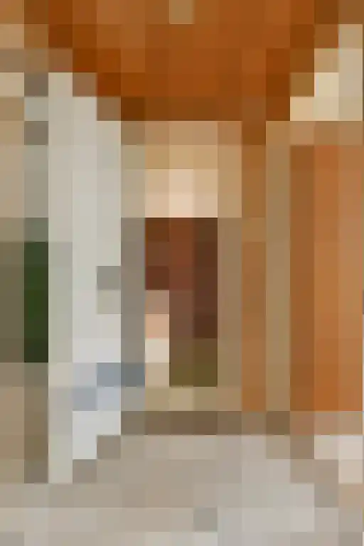 Linnaeusstraat 40 3 Amsterdam thumbnail 13