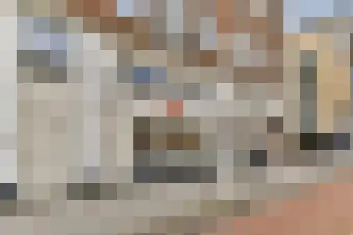 Linnaeusstraat 40 3 Amsterdam thumbnail 17
