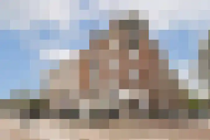 Linnaeusstraat 40 3 Amsterdam thumbnail 19