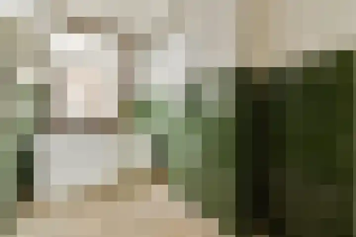 Linnaeusstraat 40 3 Amsterdam thumbnail 7