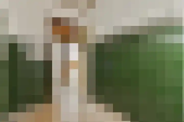 Linnaeusstraat 40 3 Amsterdam thumbnail 8
