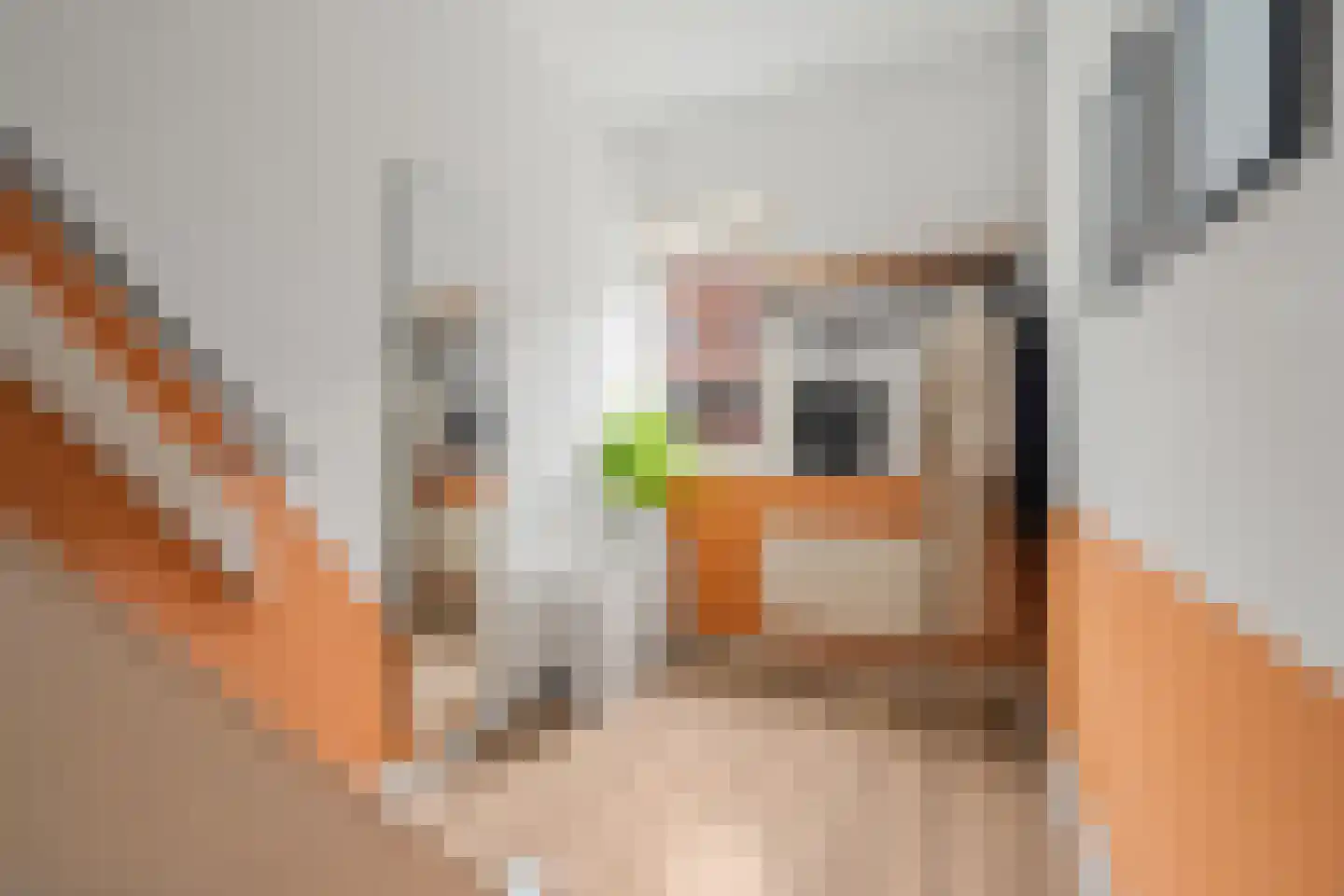 Linnaeusstraat 40 BS Utrecht thumbnail 28