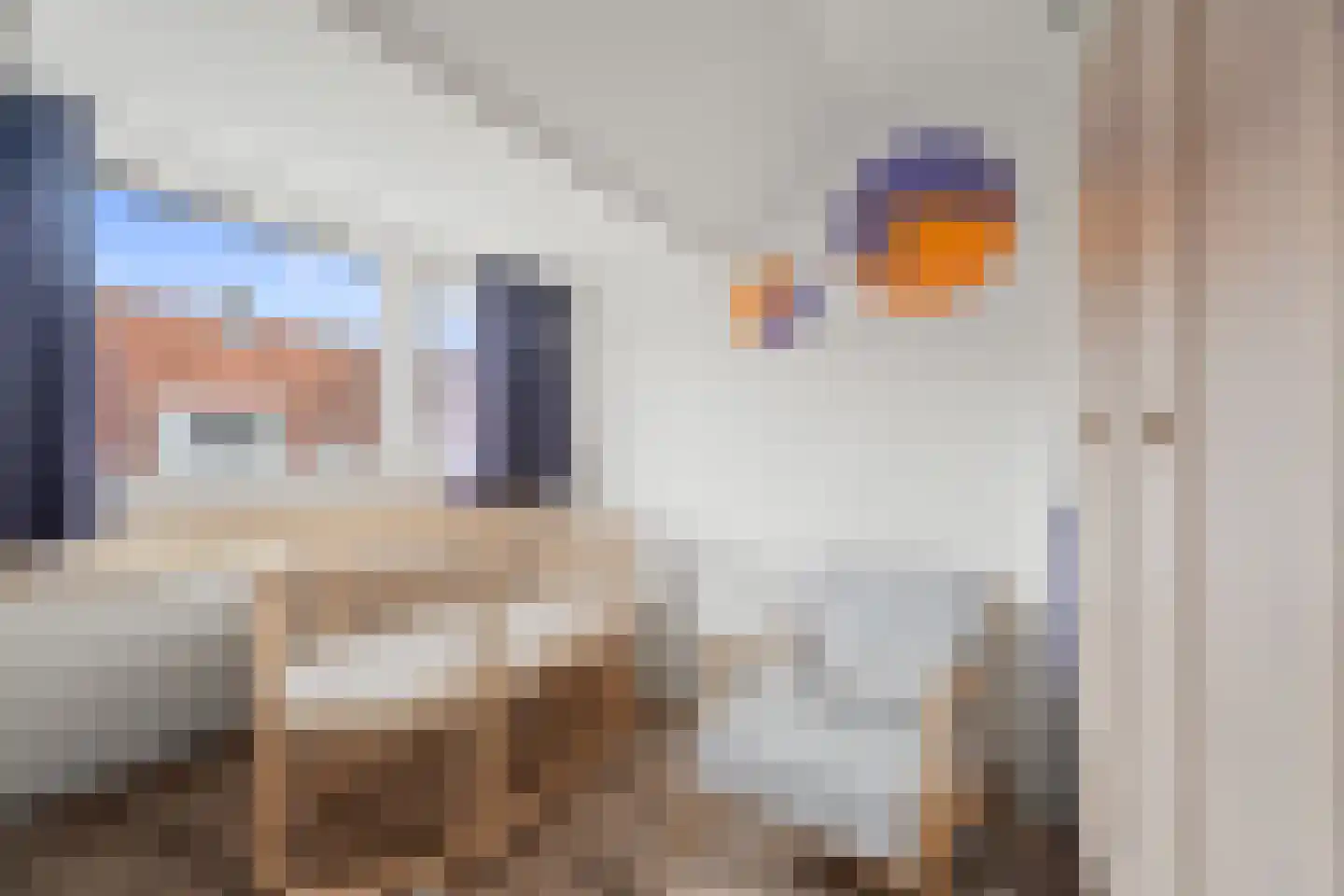 Linnaeusstraat 40 BS Utrecht thumbnail 33