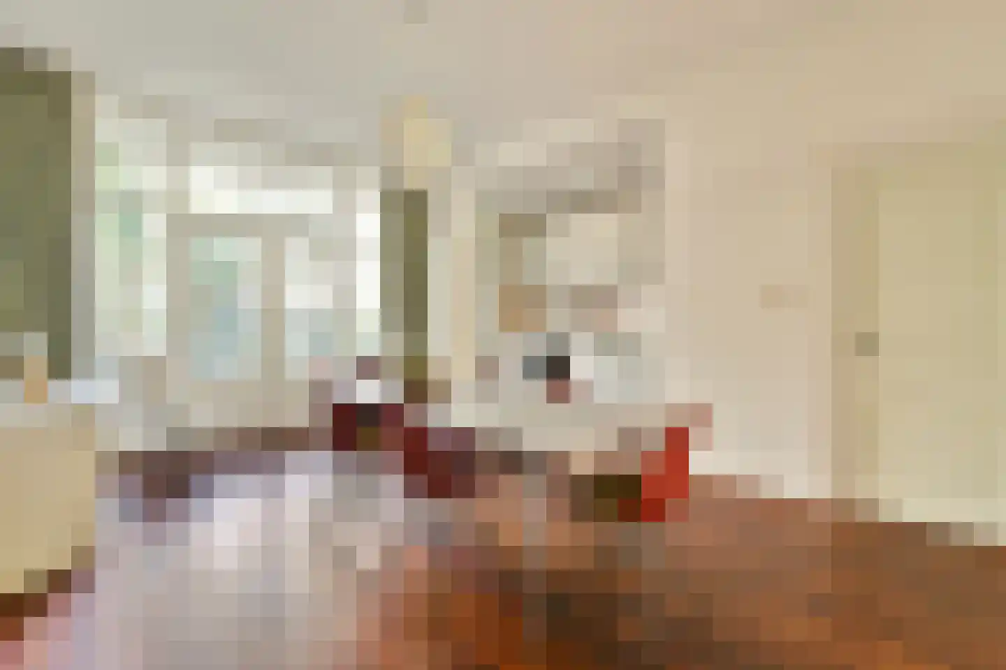 Linnaeusstraat 43 H Amsterdam thumbnail 10