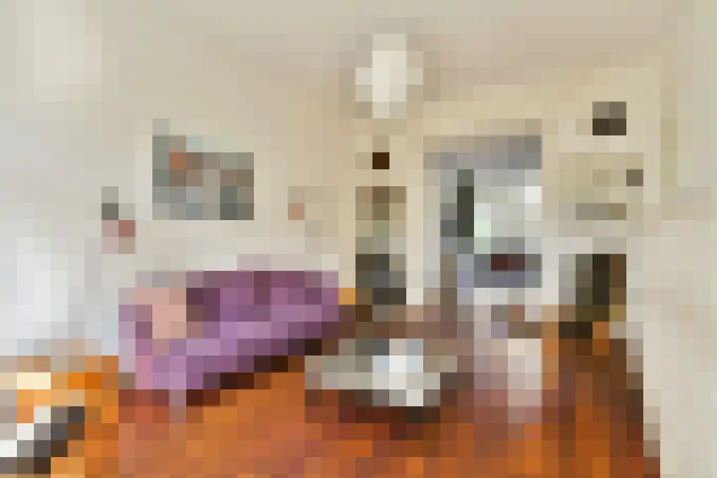 Linnaeusstraat 43 H Amsterdam thumbnail 12