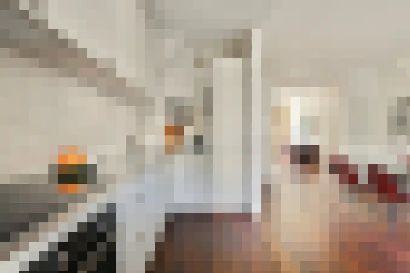 Linnaeusstraat 43 H Amsterdam thumbnail 15