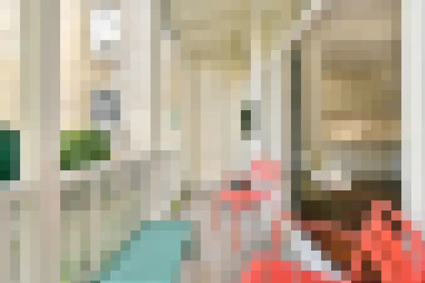 Linnaeusstraat 43 H Amsterdam thumbnail 20