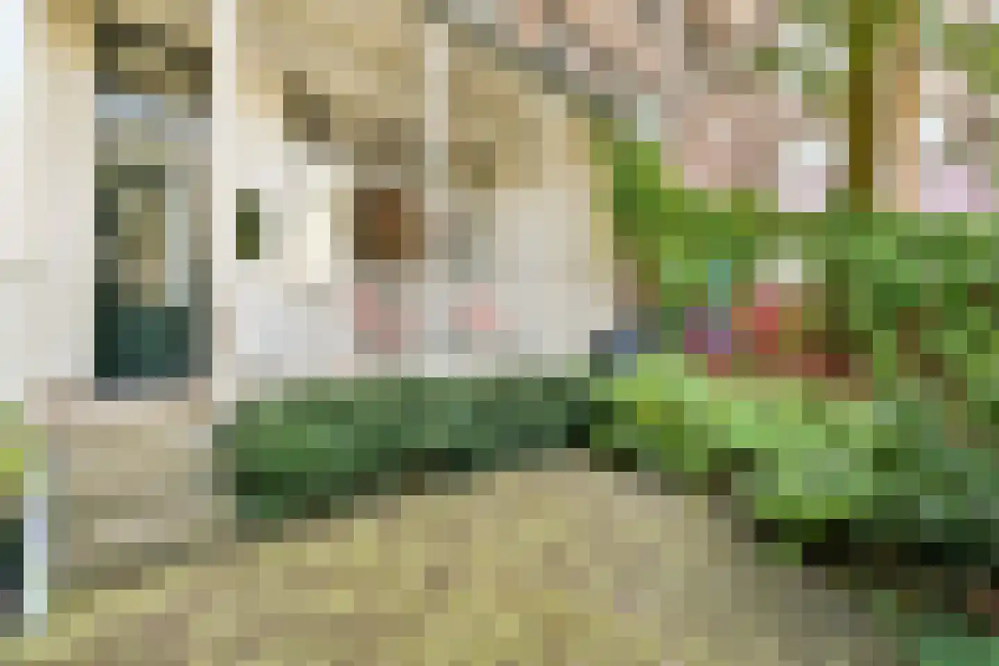 Linnaeusstraat 43 H Amsterdam thumbnail 22