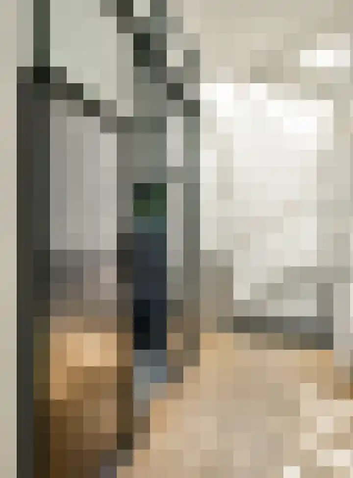 Linnaeusstraat 45 A 2 Amsterdam thumbnail 33