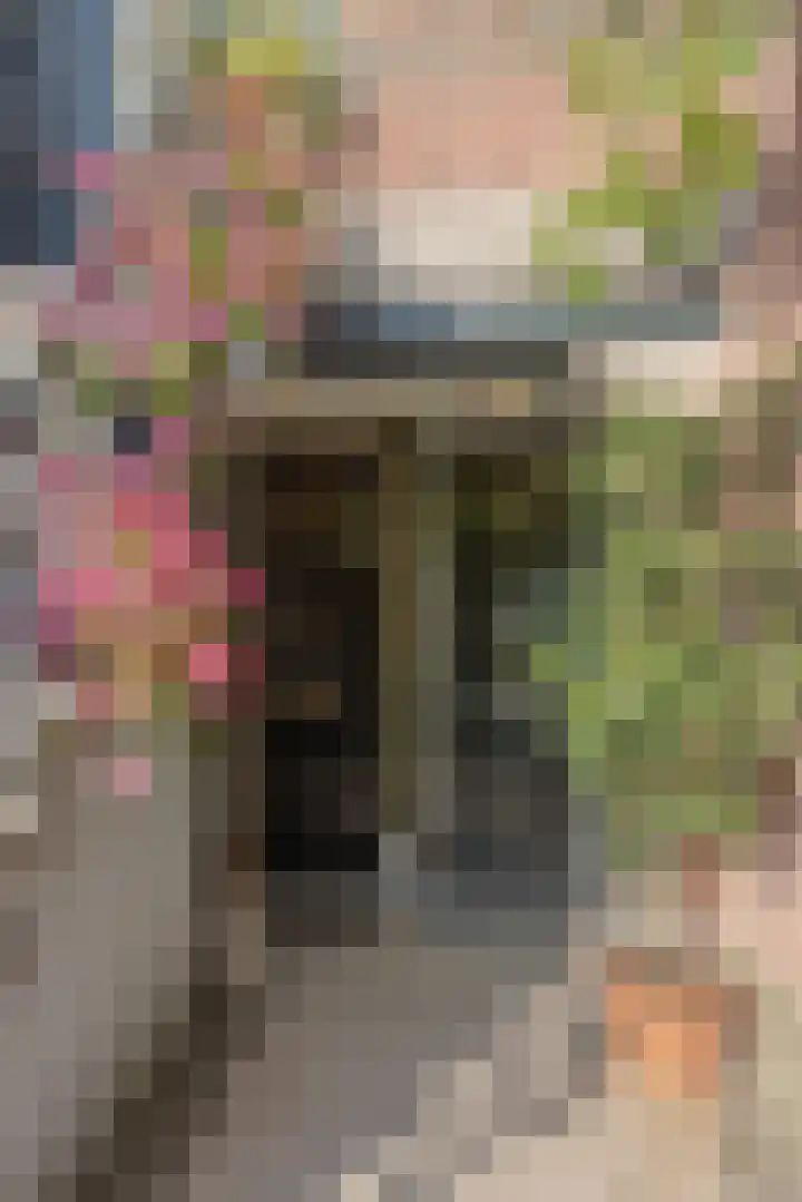 Linnaeusstraat 45 A 2 Amsterdam thumbnail 38