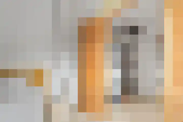 Linnaeusstraat 45 BS Utrecht thumbnail 33