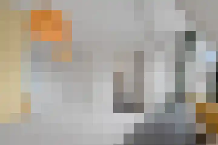 Linnaeusstraat 45 BS Utrecht thumbnail 35