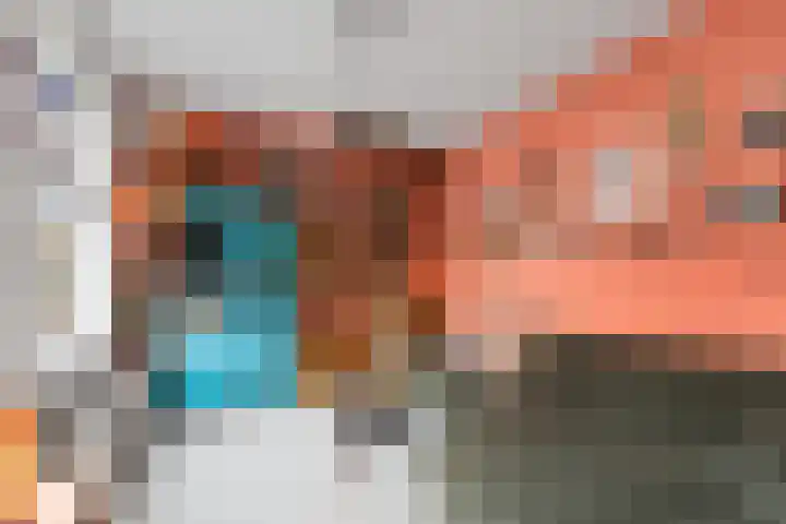 Linnaeusstraat 45 BS Utrecht thumbnail 8
