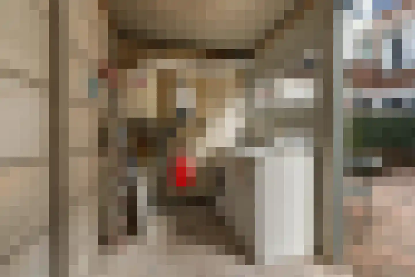 Linnaeusstraat 46 Utrecht thumbnail 24