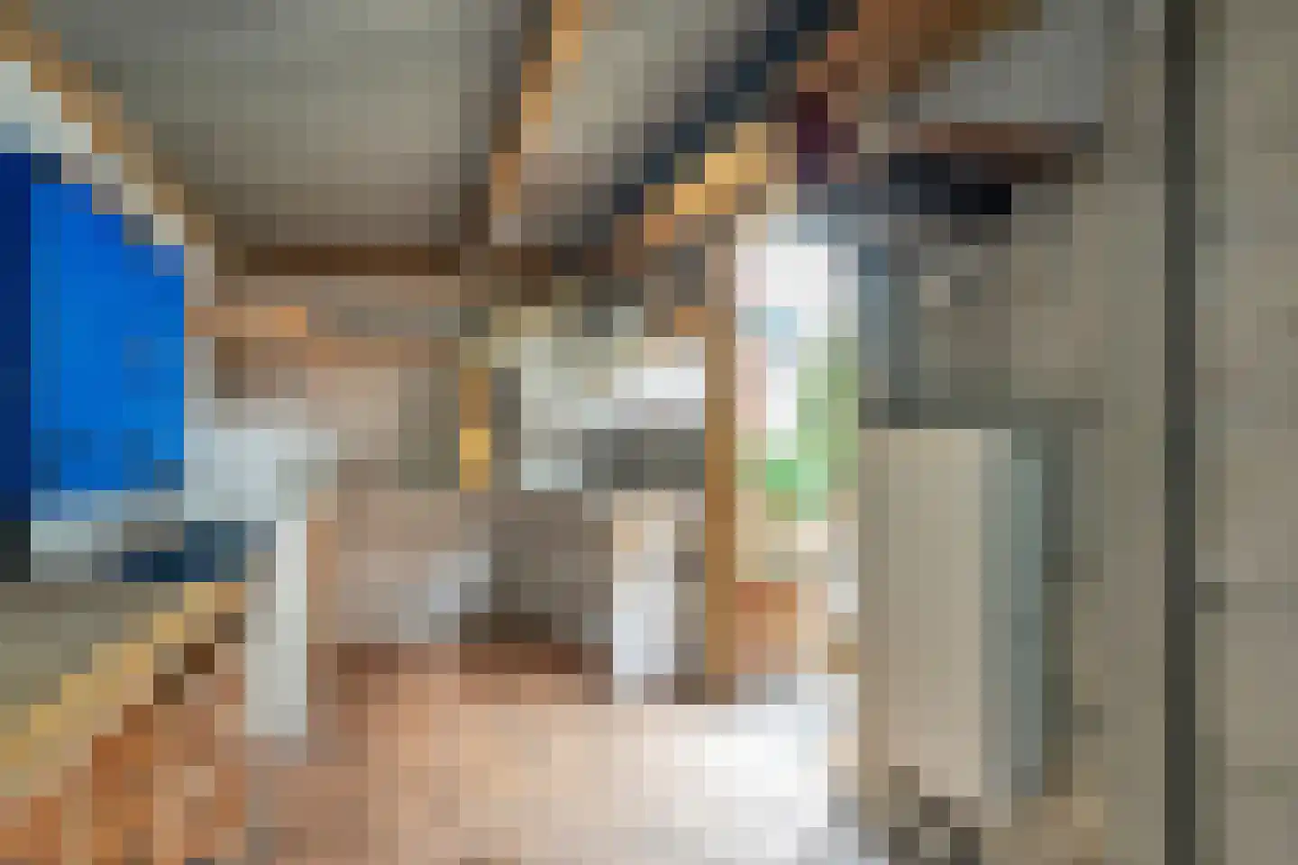 Linnaeusstraat 47 Den Haag thumbnail 19