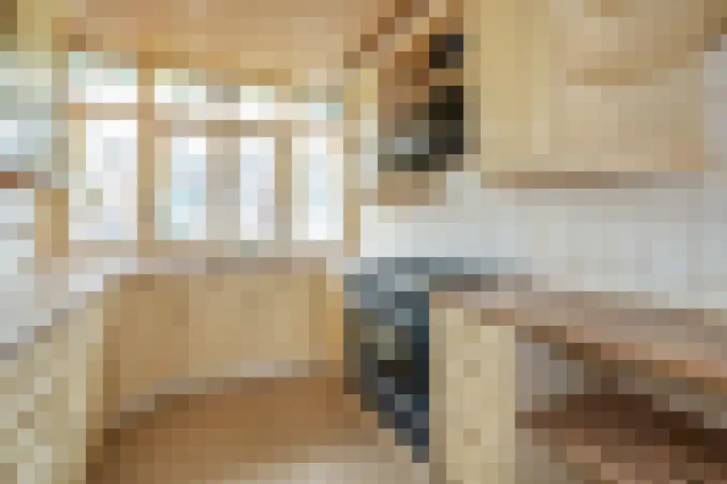 Linnaeusstraat 47 Den Haag thumbnail 4