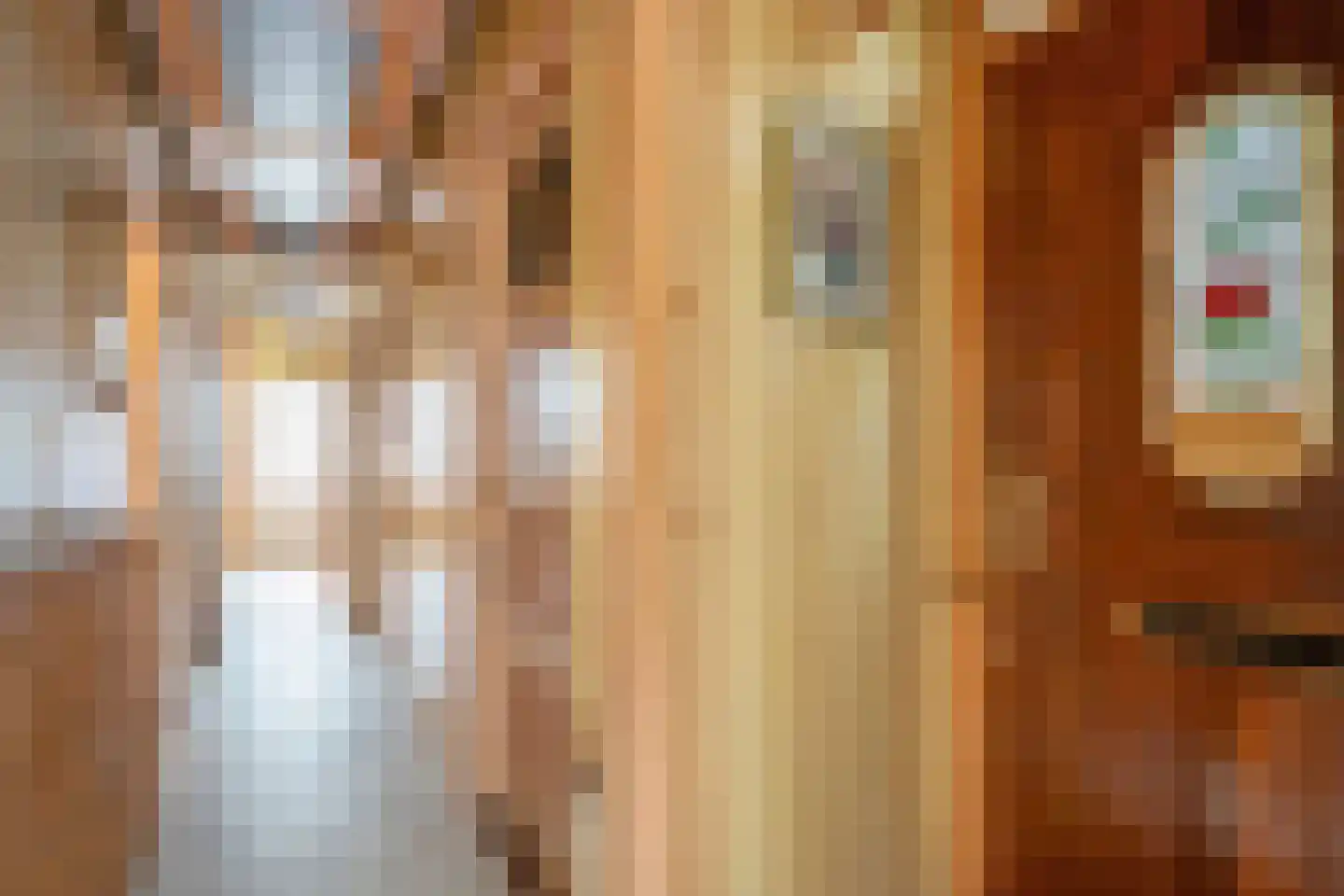 Linnaeusstraat 47 Den Haag thumbnail 6