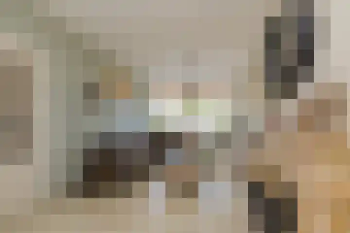 Linnaeusstraat 5 IJmuiden thumbnail 10