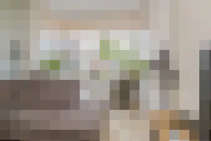 Linnaeusstraat 5 IJmuiden thumbnail 14