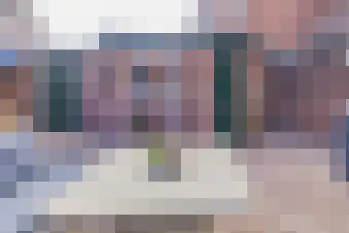 Linnaeusstraat 5 IJmuiden thumbnail 21