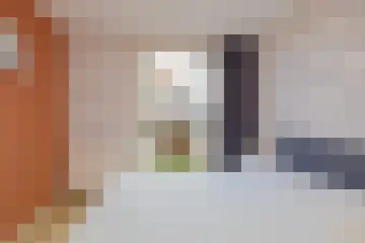 Linnaeusstraat 5 IJmuiden thumbnail 31