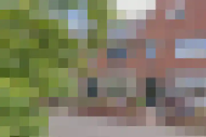 Linnaeusstraat 5 IJmuiden thumbnail 51