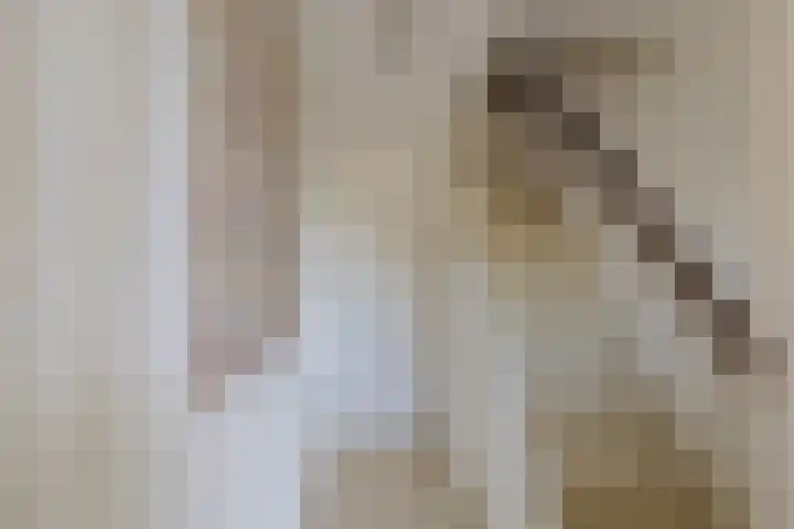 Linnaeusstraat 5 IJmuiden thumbnail 7