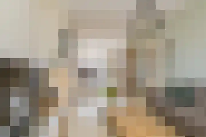 Linnaeusstraat 5 IJmuiden thumbnail 8