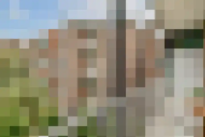 Linnaeusstraat 52 1 Amsterdam thumbnail 12