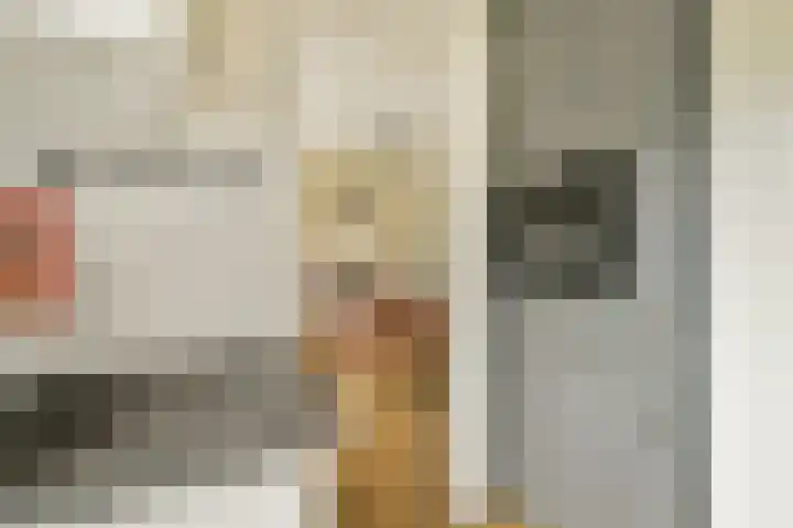 Linnaeusstraat 52 1 Amsterdam thumbnail 13