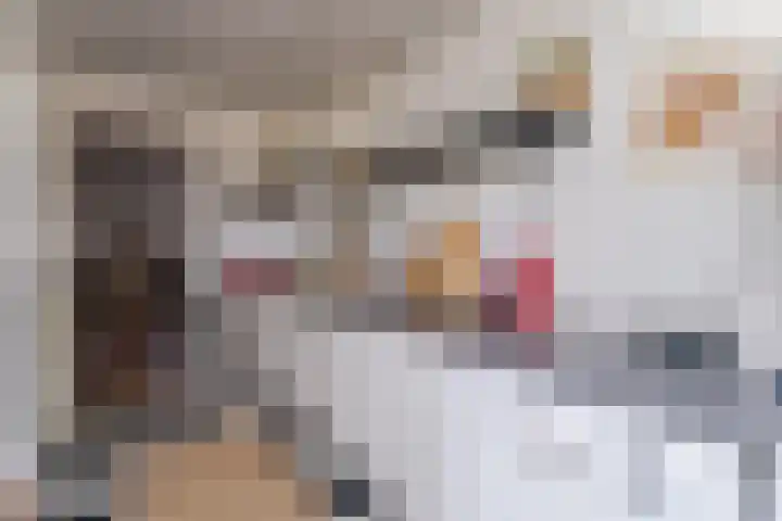Linnaeusstraat 54 BS Utrecht thumbnail 11