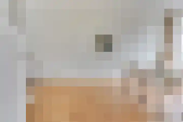 Linnaeusstraat 56 BS Utrecht thumbnail 8