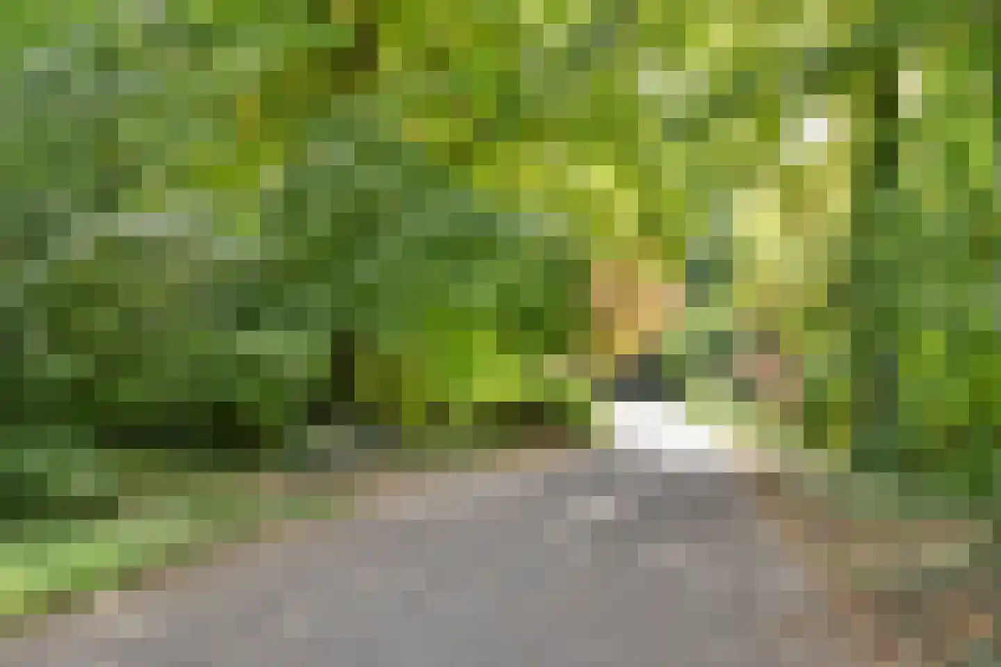 Linnaeusstraat 58 Utrecht thumbnail 27