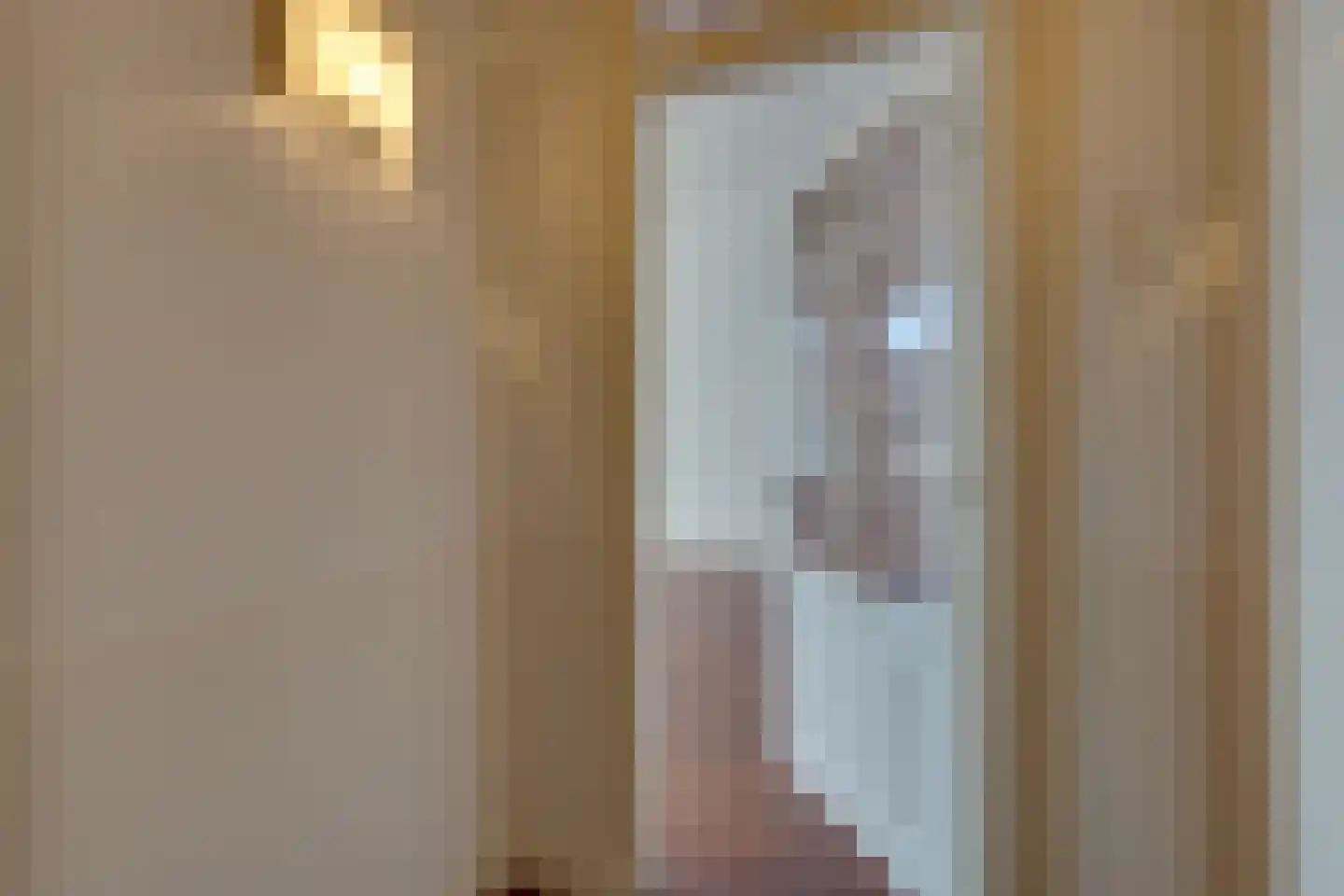 Linnaeusstraat 6 Amsterdam thumbnail 10