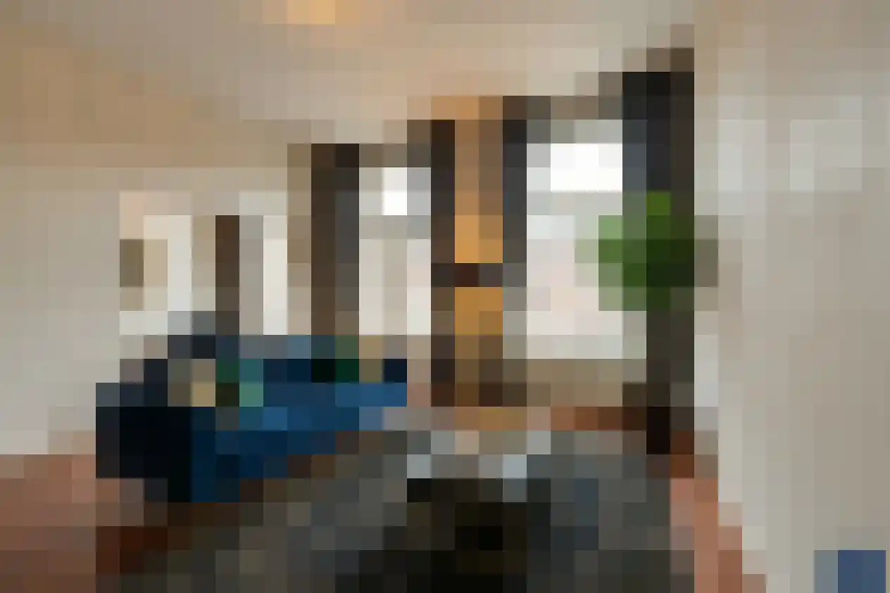 Linnaeusstraat 6 Amsterdam thumbnail 13