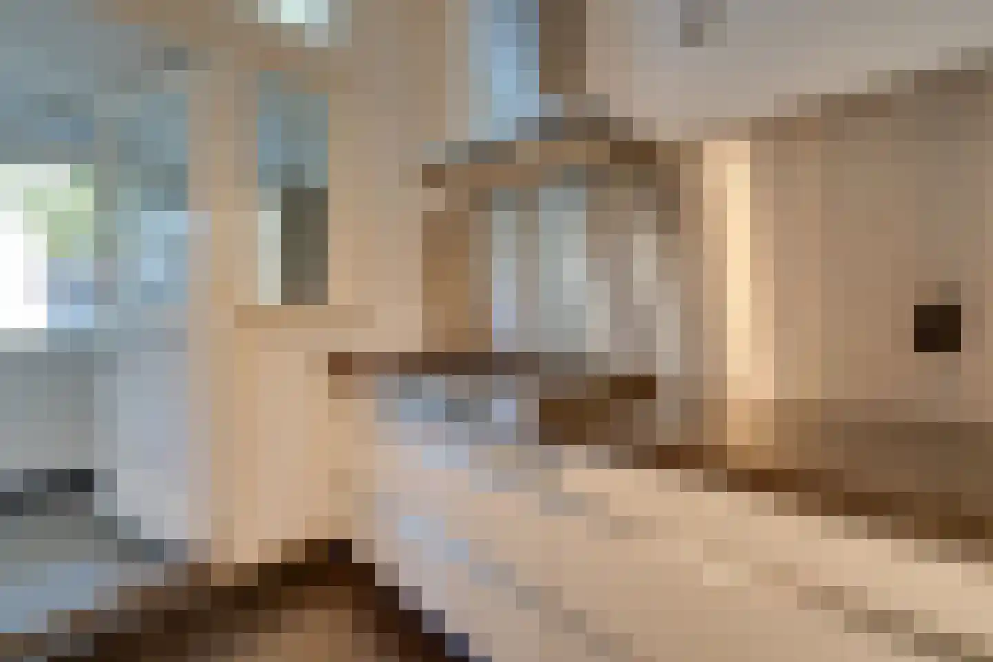 Linnaeusstraat 6 Amsterdam thumbnail 17
