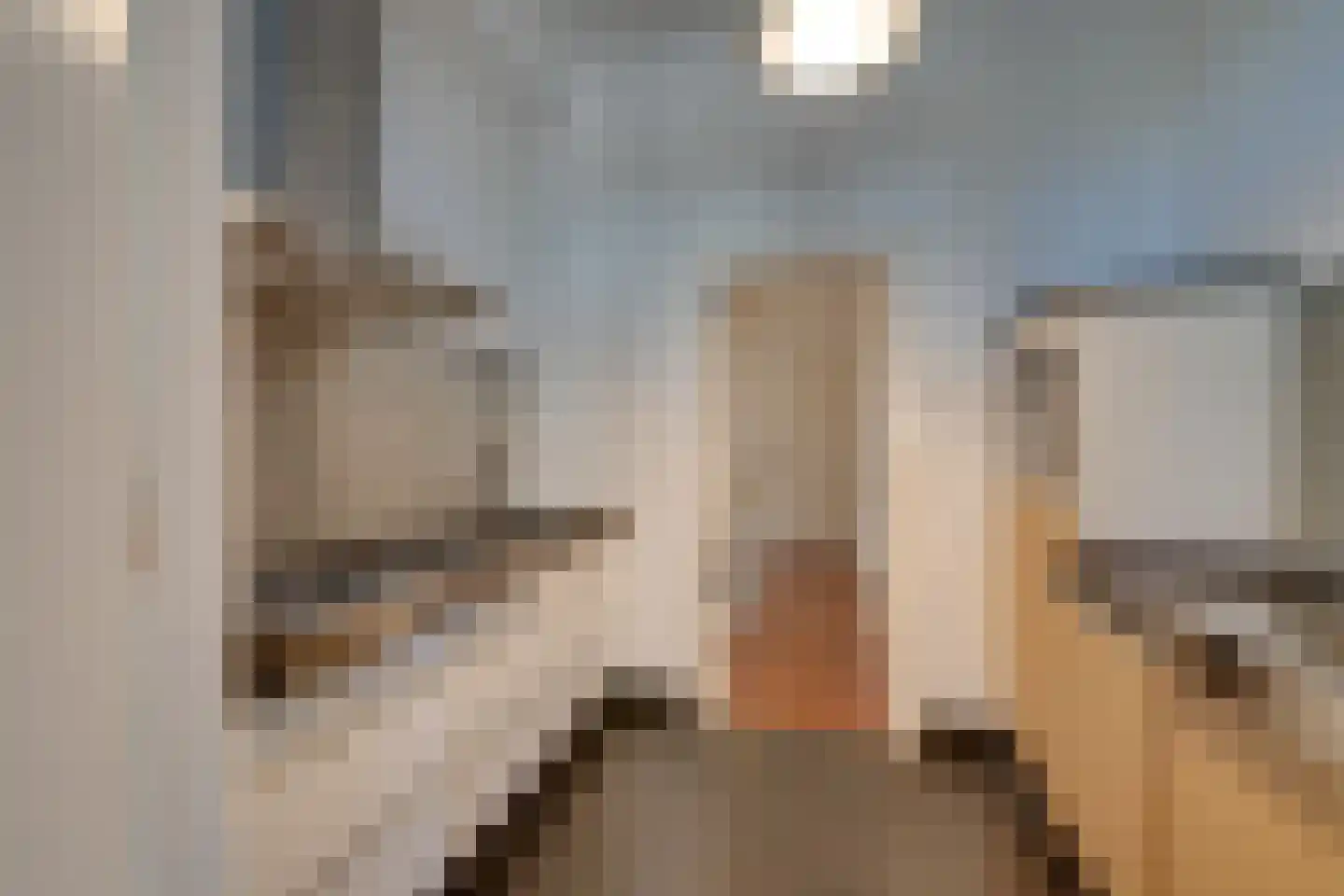 Linnaeusstraat 6 Amsterdam thumbnail 18
