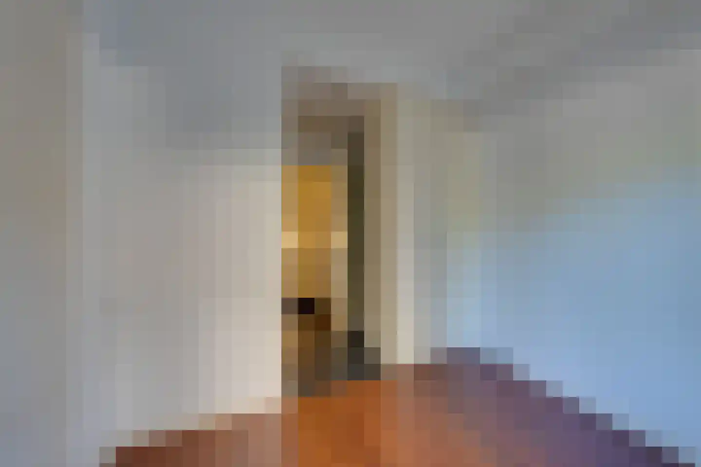 Linnaeusstraat 6 Amsterdam thumbnail 23
