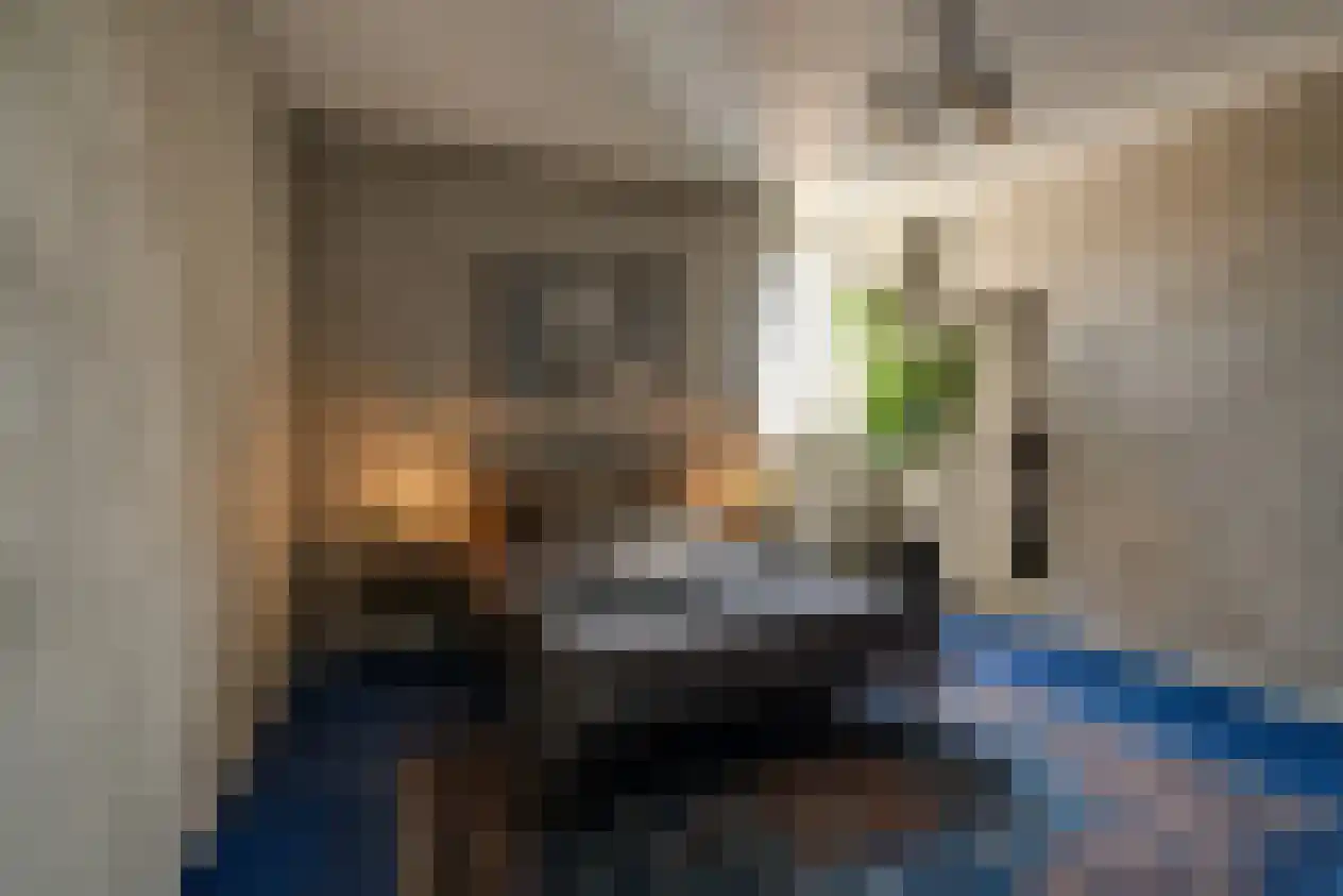 Linnaeusstraat 6 Amsterdam thumbnail 26