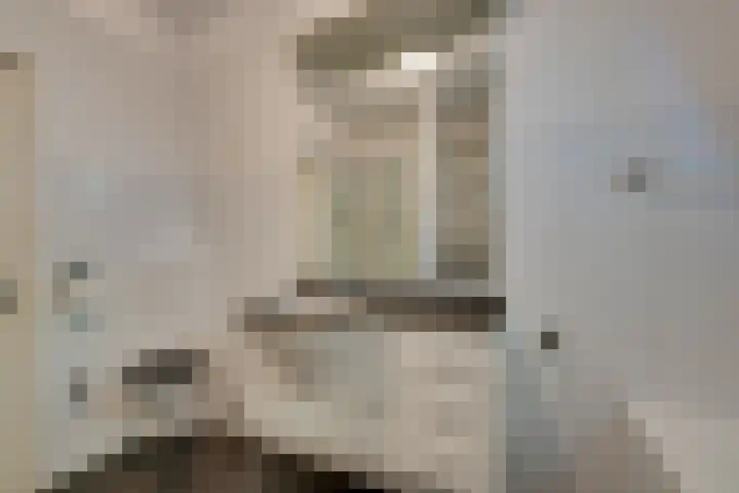 Linnaeusstraat 6 Amsterdam thumbnail 31