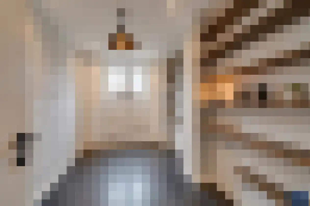 Linnaeusstraat 6 Amsterdam thumbnail 33