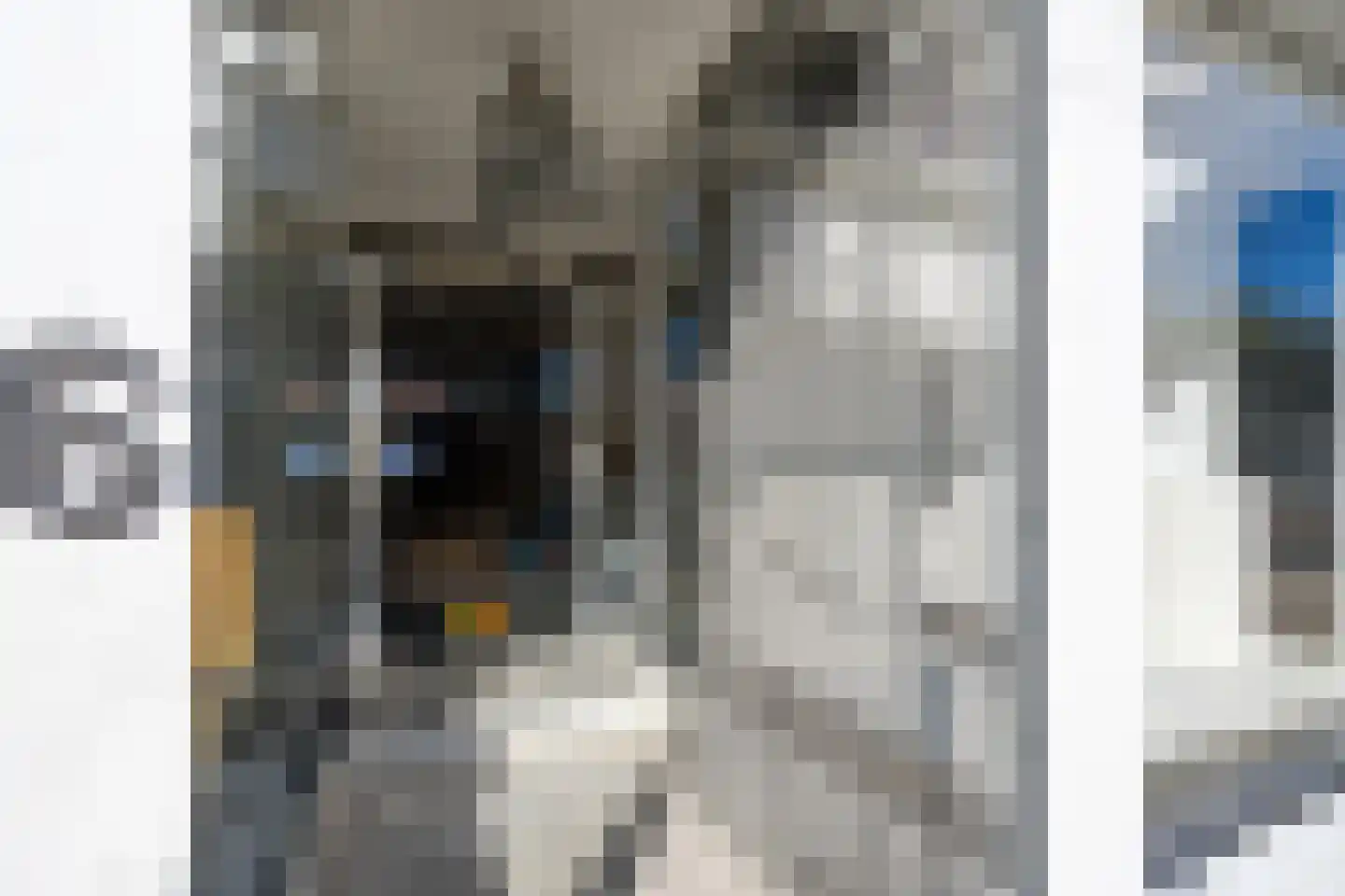 Linnaeusstraat 6 Amsterdam thumbnail 34