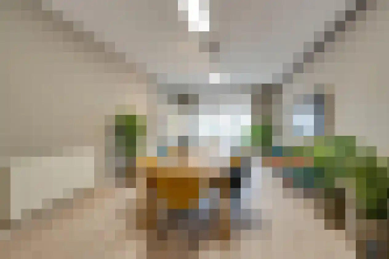 Linnaeusstraat 6 Amsterdam thumbnail 37